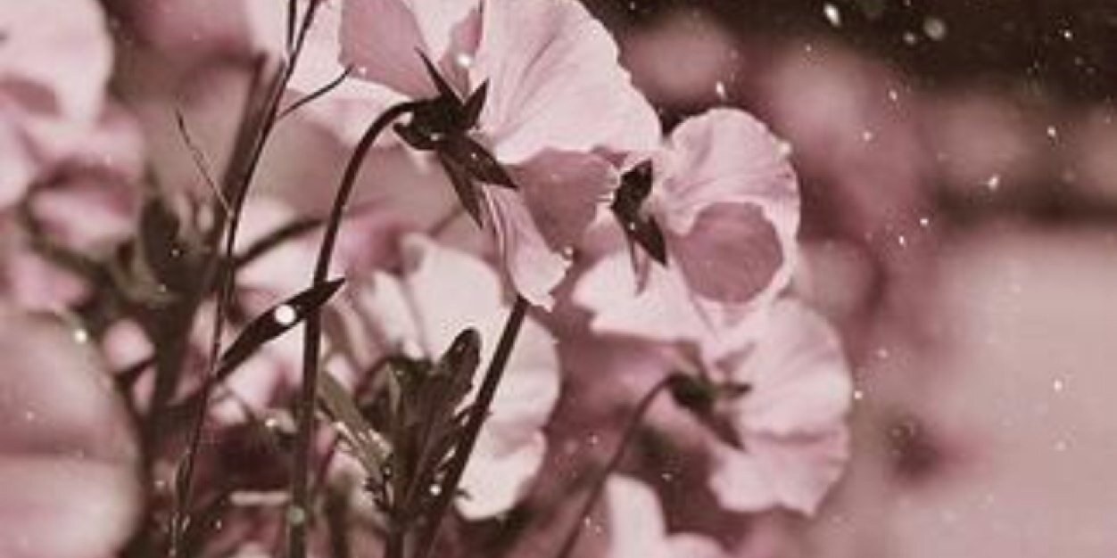 a12125_a's profile banner image