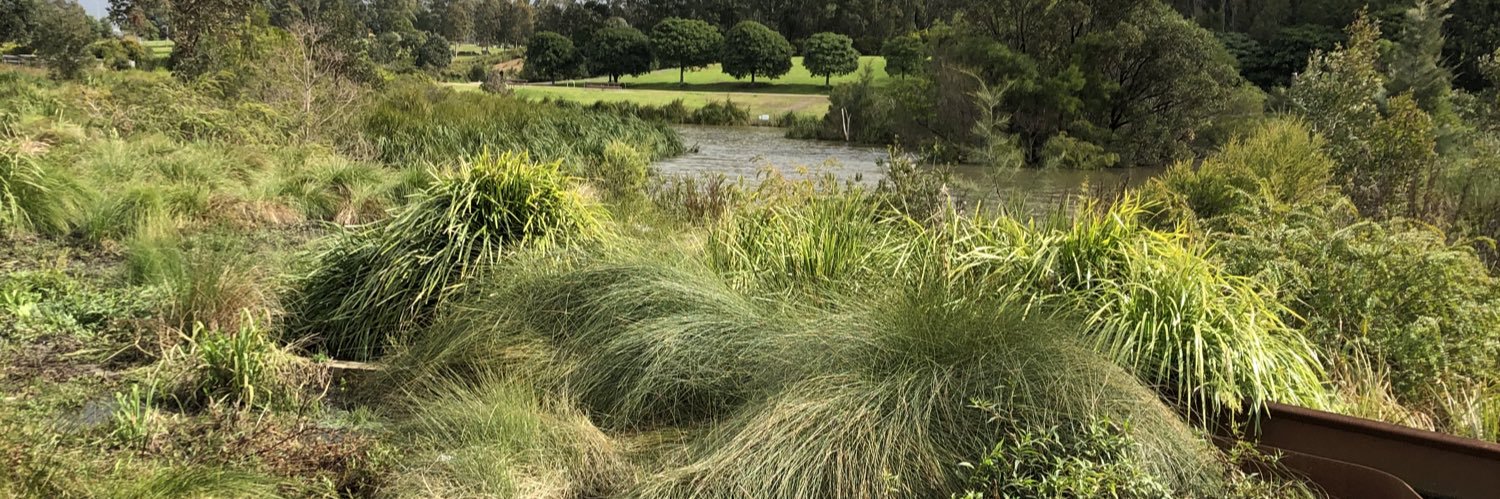 Joe 🇨🇦 🇮🇹 🇦🇺 also _wheelyweb on most sm banner