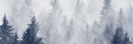 funzeeshu's profile banner image
