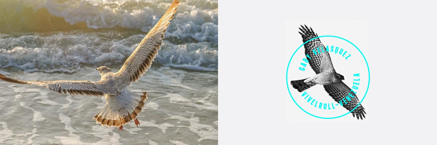 vivelroll's profile banner image