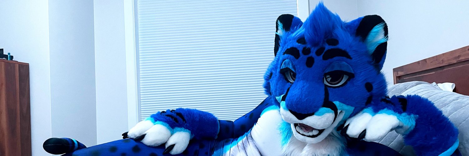 Bottomcat 🐱 banner