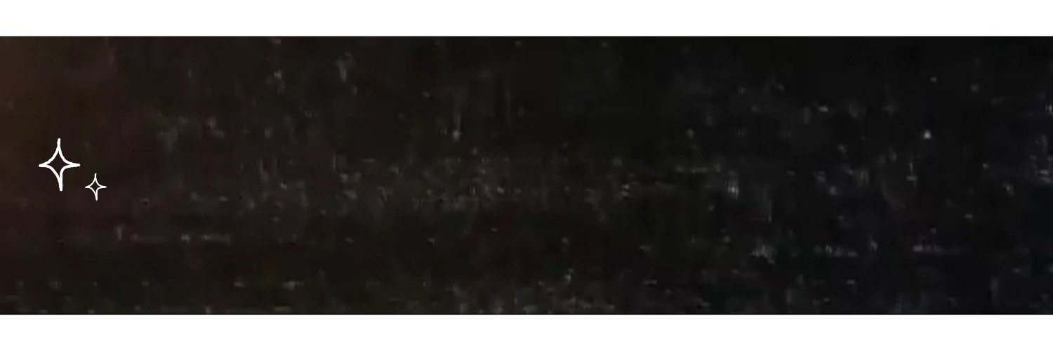 vs2fly's profile banner image