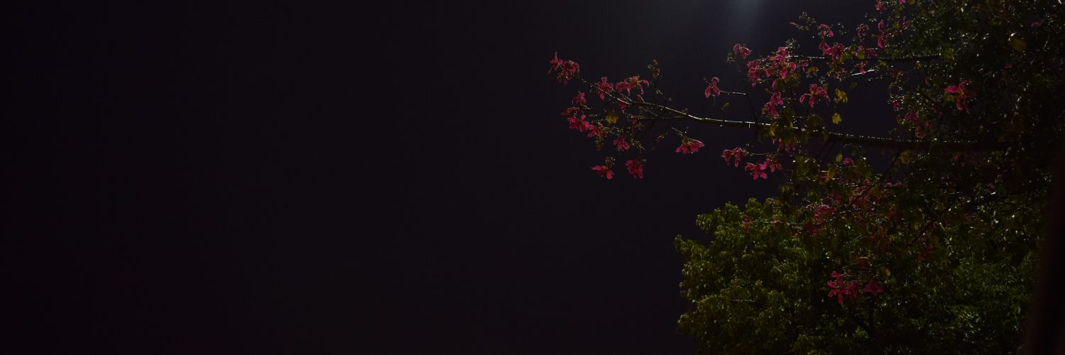 xkw__'s profile banner image