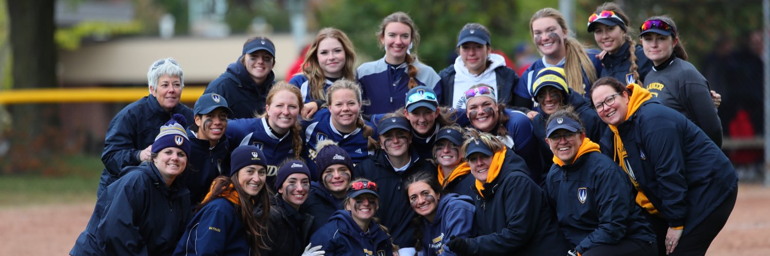 Lancer Softball banner