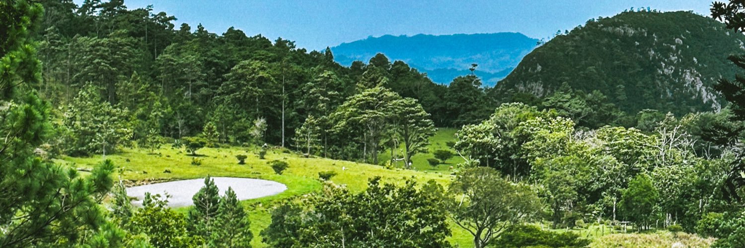 judithrobelo08's profile banner image
