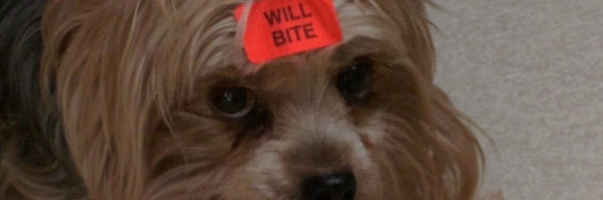 _chebrulee's profile banner image