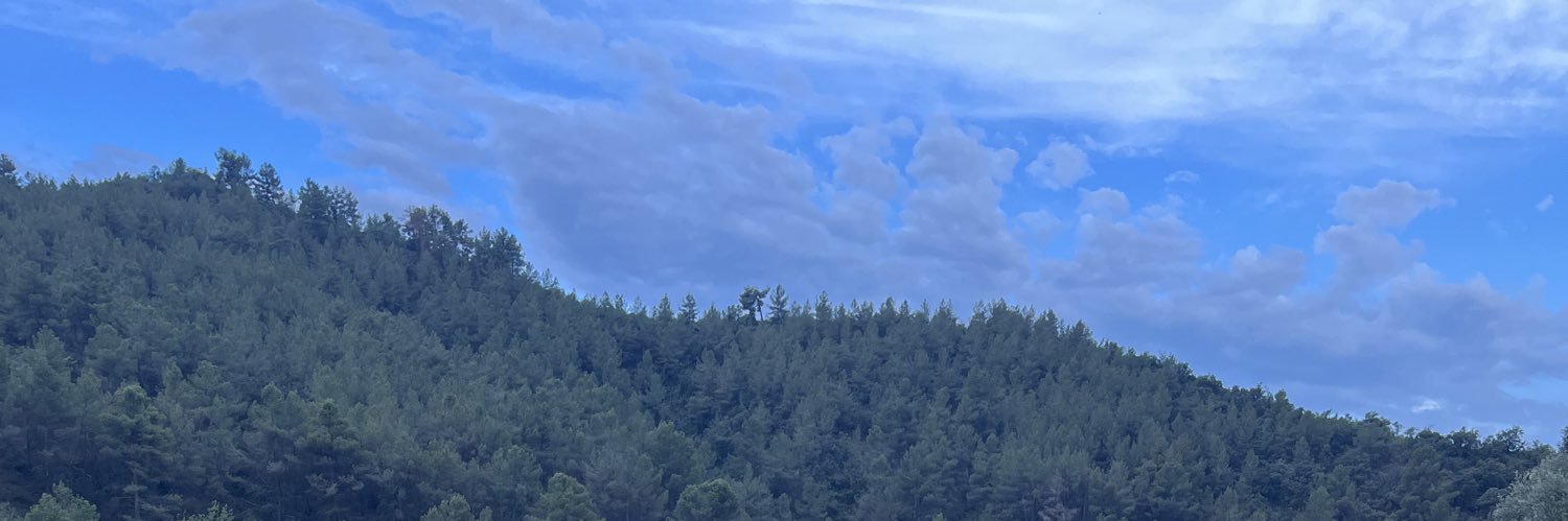 Susana Ferrer banner