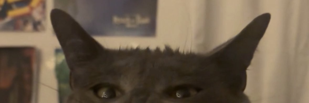 jqylin's profile banner image