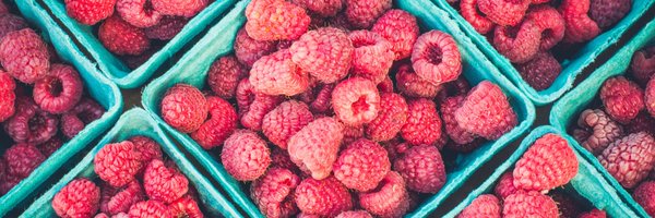 PeterJKelly14 Profile Banner