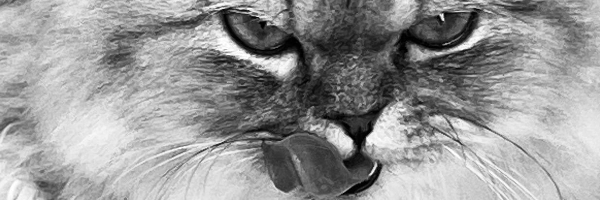 RARA👁‍🗨 banner