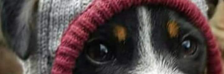 ericbiebel's profile banner image