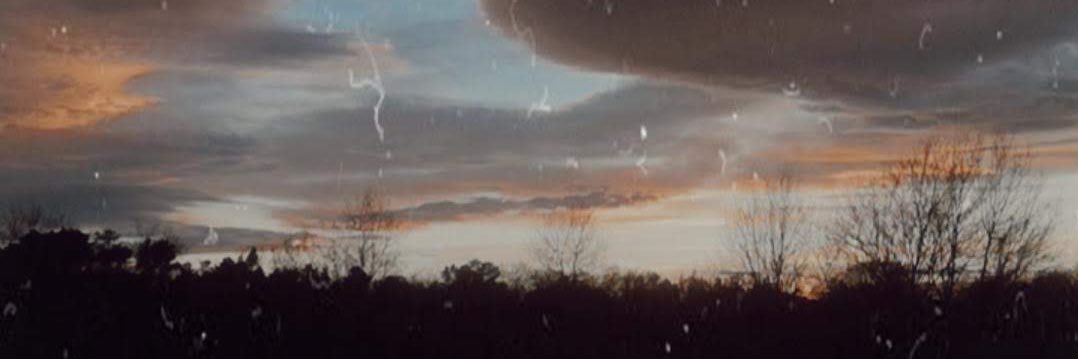 L✨ banner
