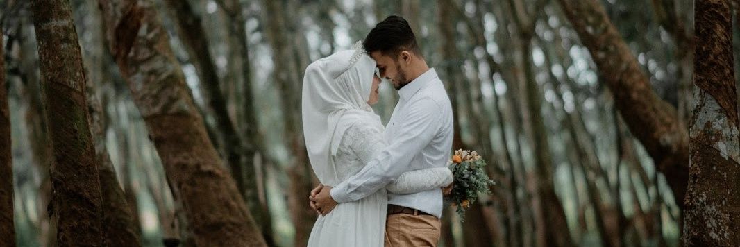 rezafahlefi's profile banner image