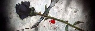 AValdavida's profile banner image
