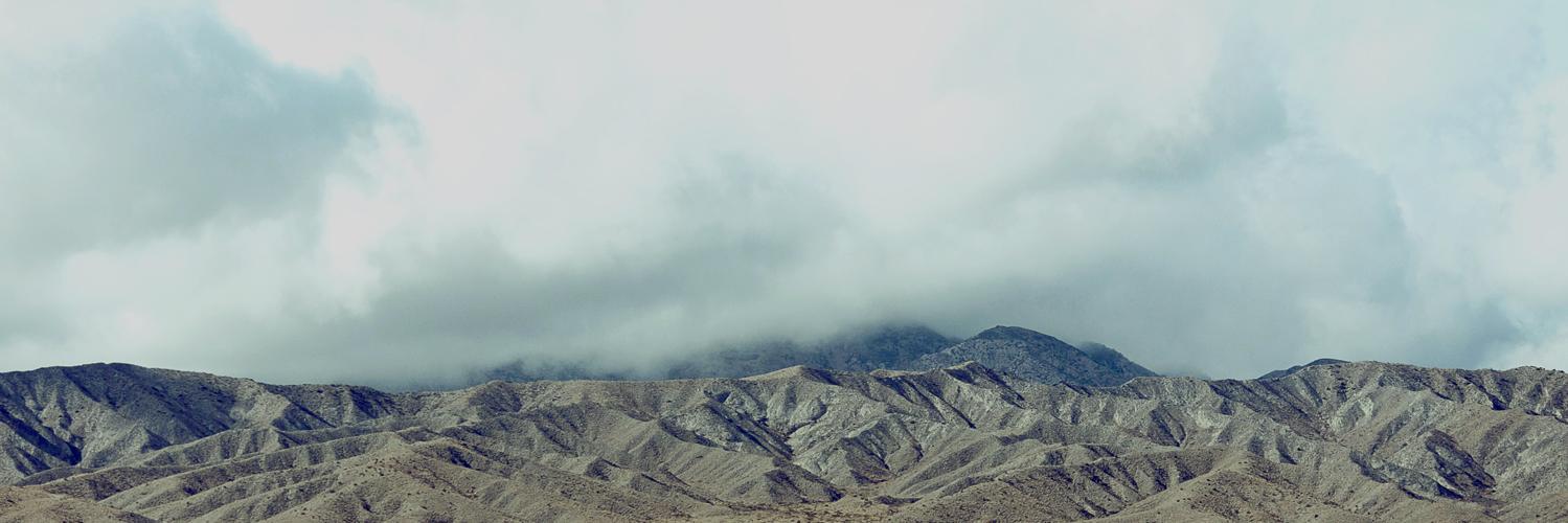 soapcollective's profile banner image