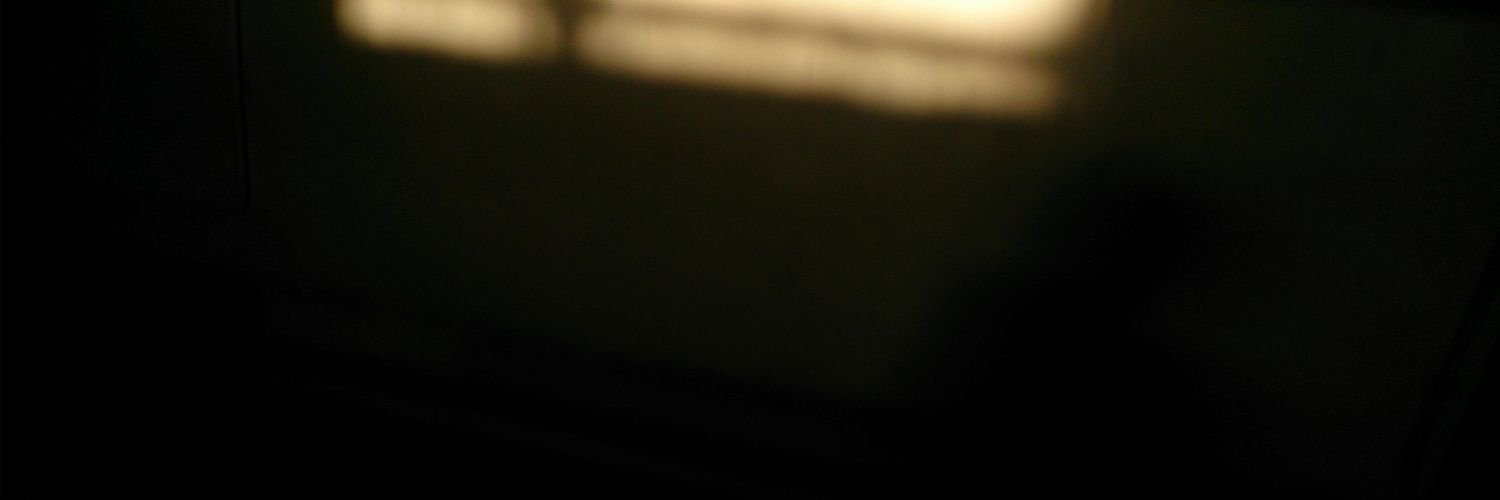 calz's profile banner image