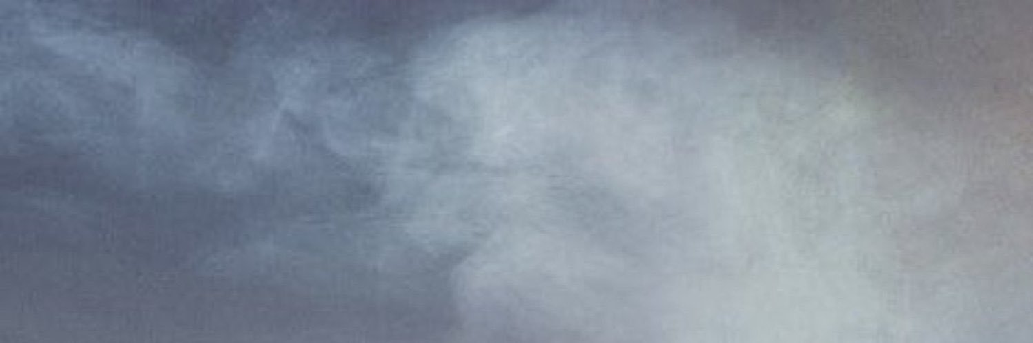 gabriellrxcha's profile banner image