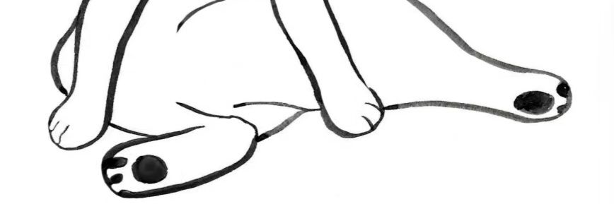 nemodrizzle's profile banner image