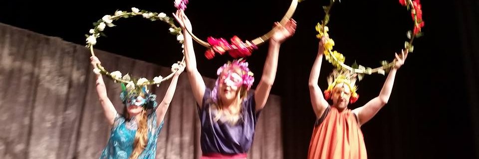 Pigeon Creek Shakespeare banner