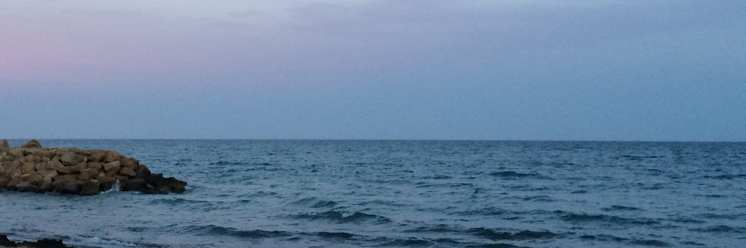 FaraaSue's profile banner image