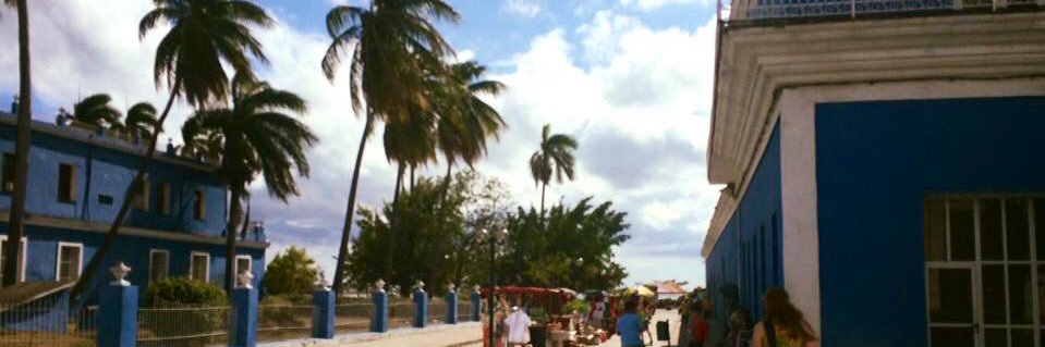 Sybilla Gross banner