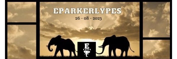 EParkerlypes ll Profile Banner