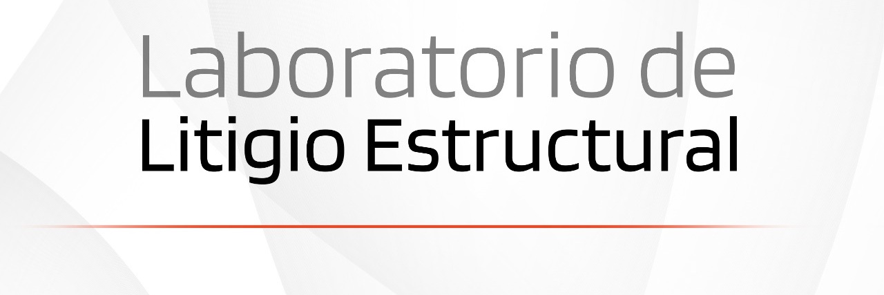 Laboratorio de Litigio Estructural, A.C. banner