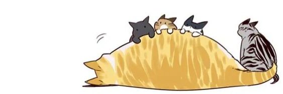 didween's profile banner image