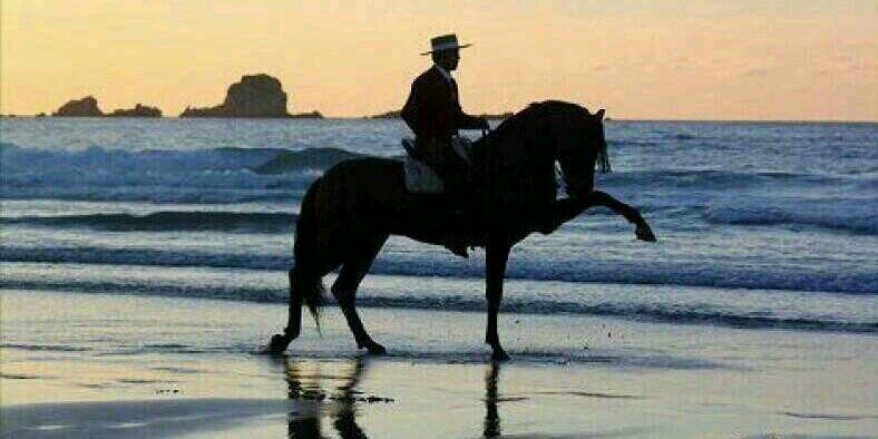 irenee018's profile banner image
