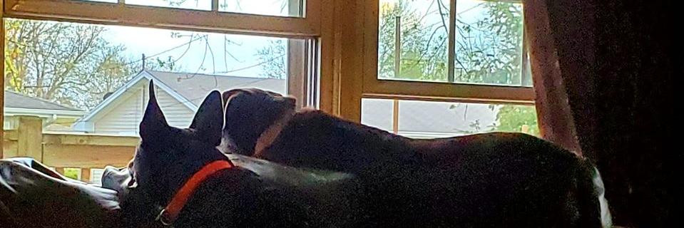 ReneeO64's profile banner image