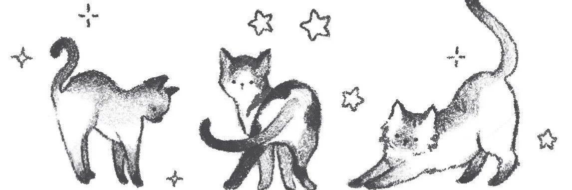 alegavel's profile banner image