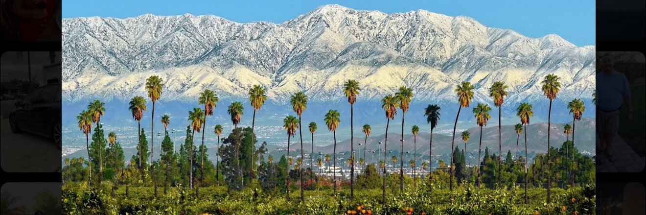 Maurice Khoury banner