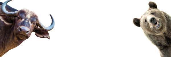 FlorinChindea Profile Banner