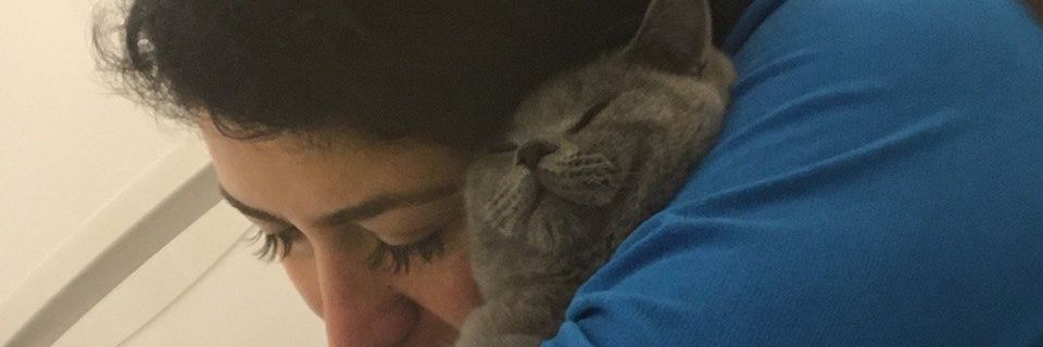 AylinMemik's profile banner image