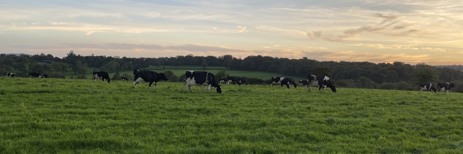 Emma Seabrooke Greene banner