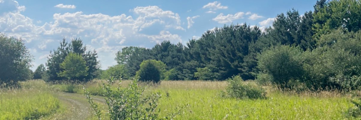 cnelson1109's profile banner image