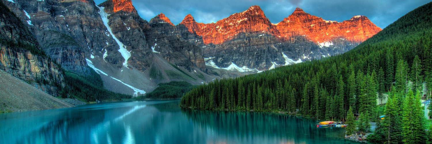 Kenneth Bittner banner