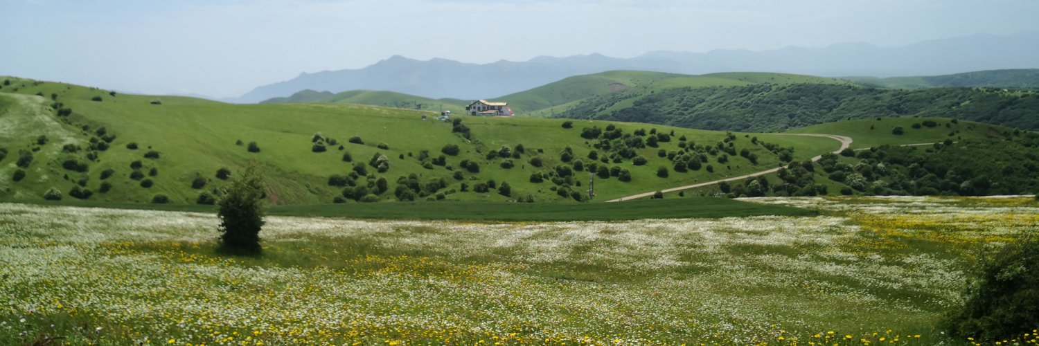 raymand's profile banner image