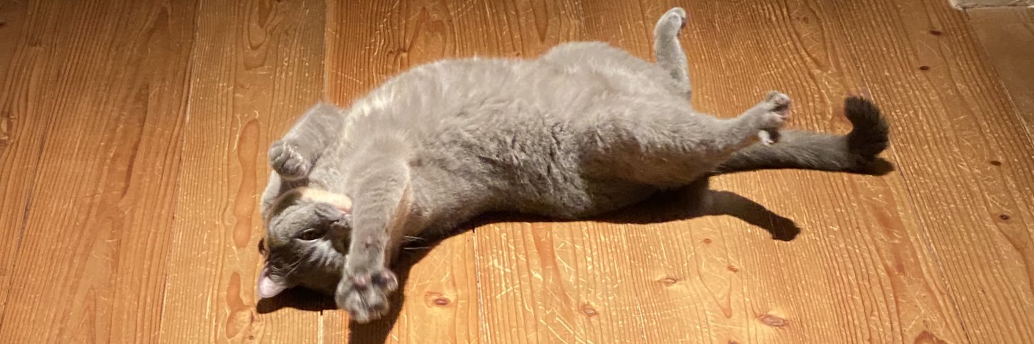 tessy3's profile banner image