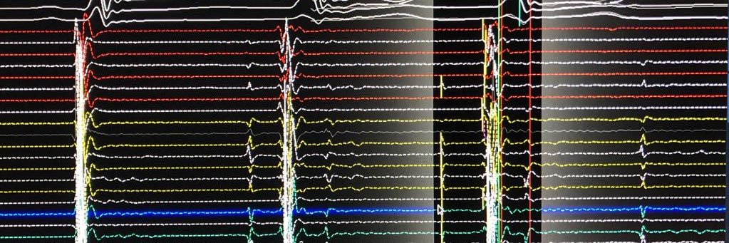 Dr. Wafa Aldawood banner