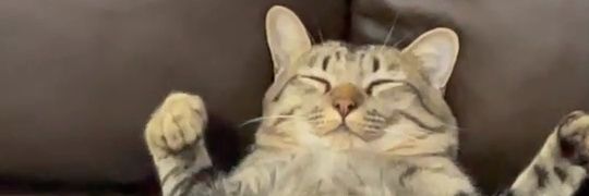 จืด สามสอเสือ banner