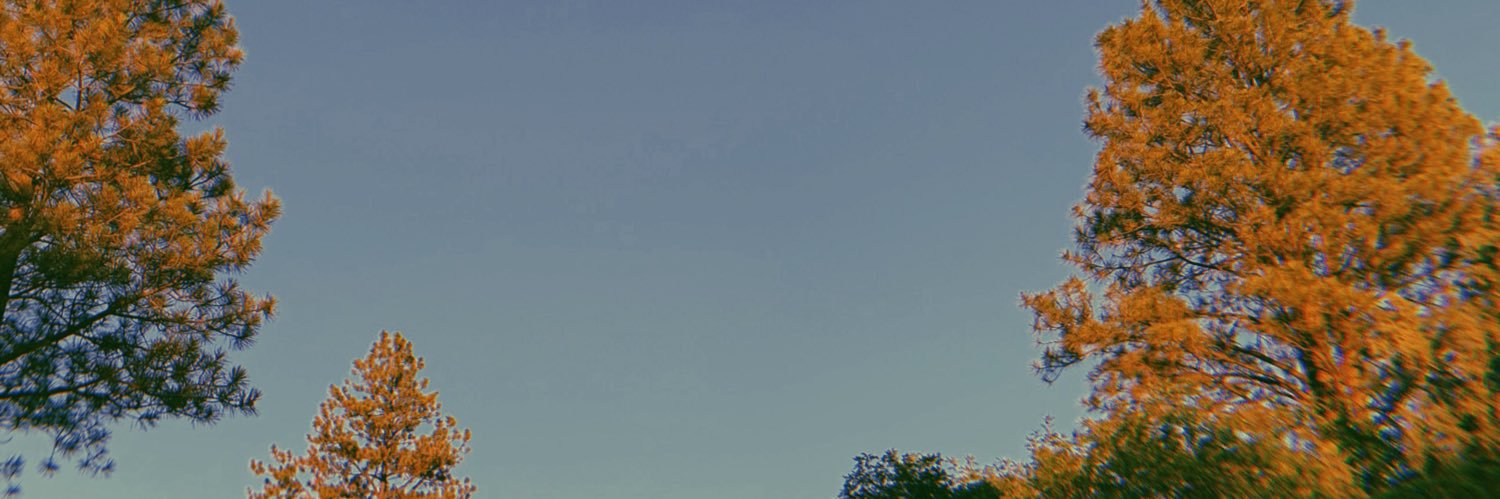 shineontimee's profile banner image
