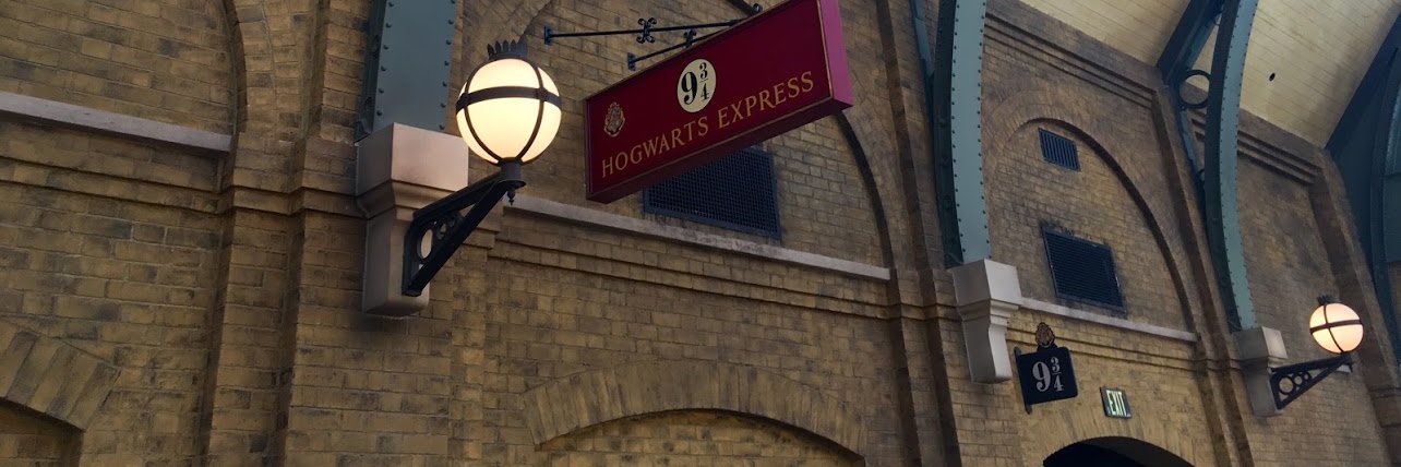 saranneidecker's profile banner image