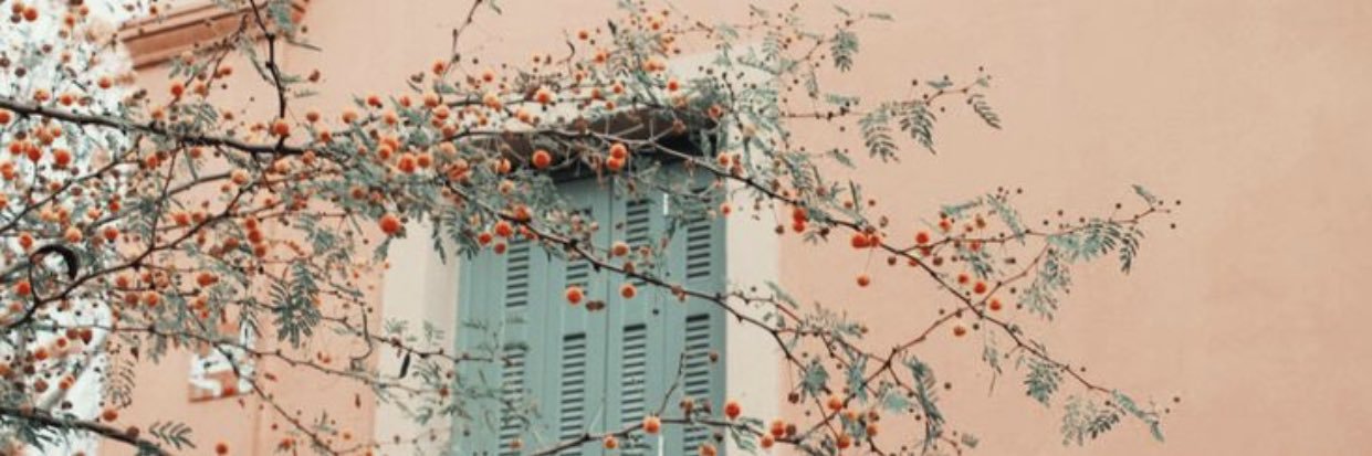 R_T_ALOTAIBI's profile banner image