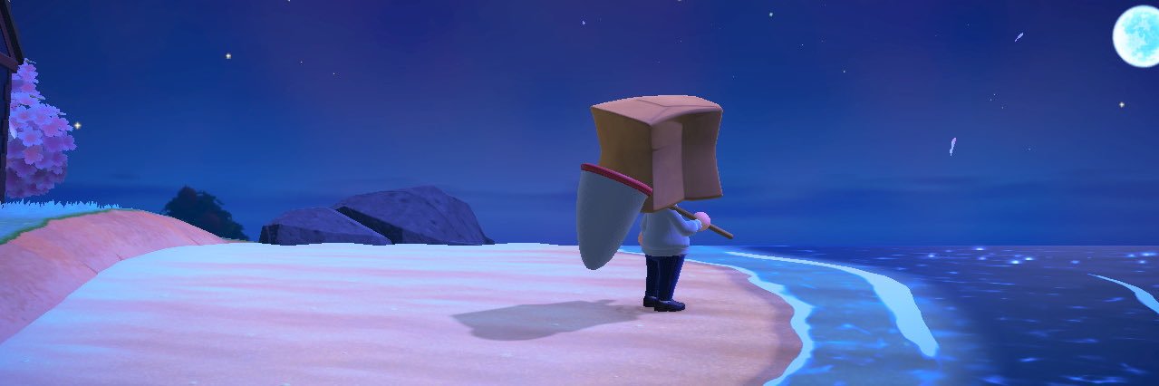 kululi's profile banner image