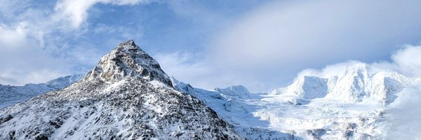 sfreund Profile Banner