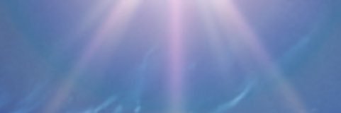 salt_823's profile banner image