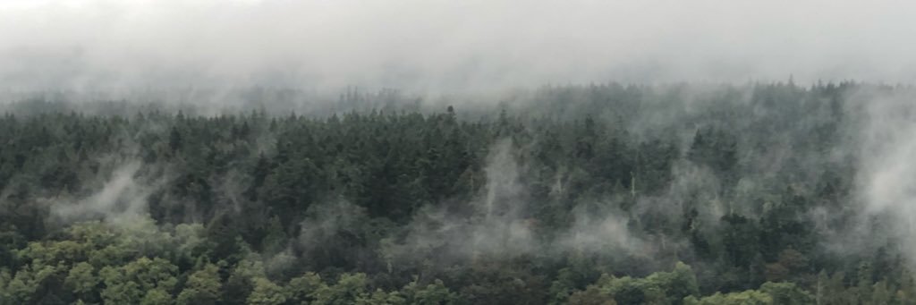Rachlyn77's profile banner image