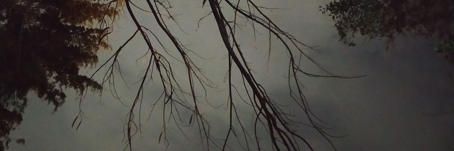adienasty's profile banner image