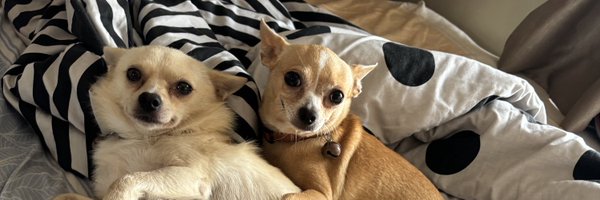 ninik_setiawan Profile Banner